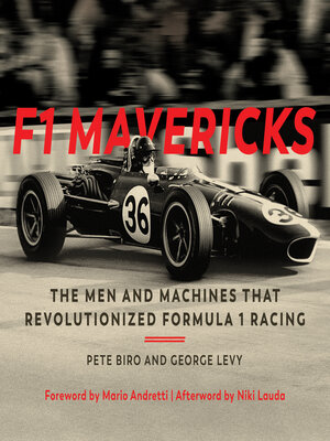 cover image of F1 Mavericks